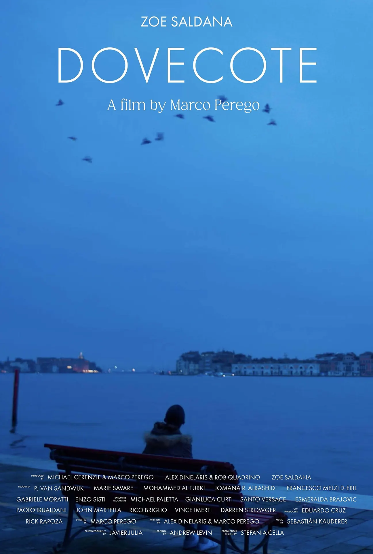 immagine per Dovecote di Marco Perego, locandina del corto cinematografico-Padiglione Vaticano alla Giudecca 60 Biennale d'Arte di Venezia