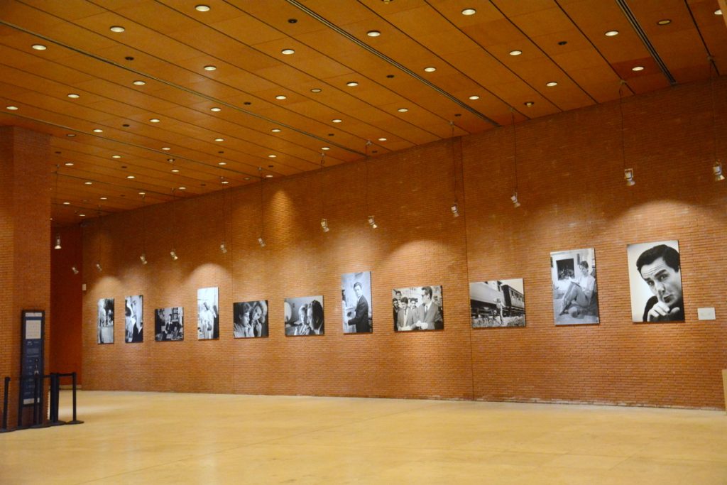 immagine per #RoFF19. Festa del Cinema di Roma 2024