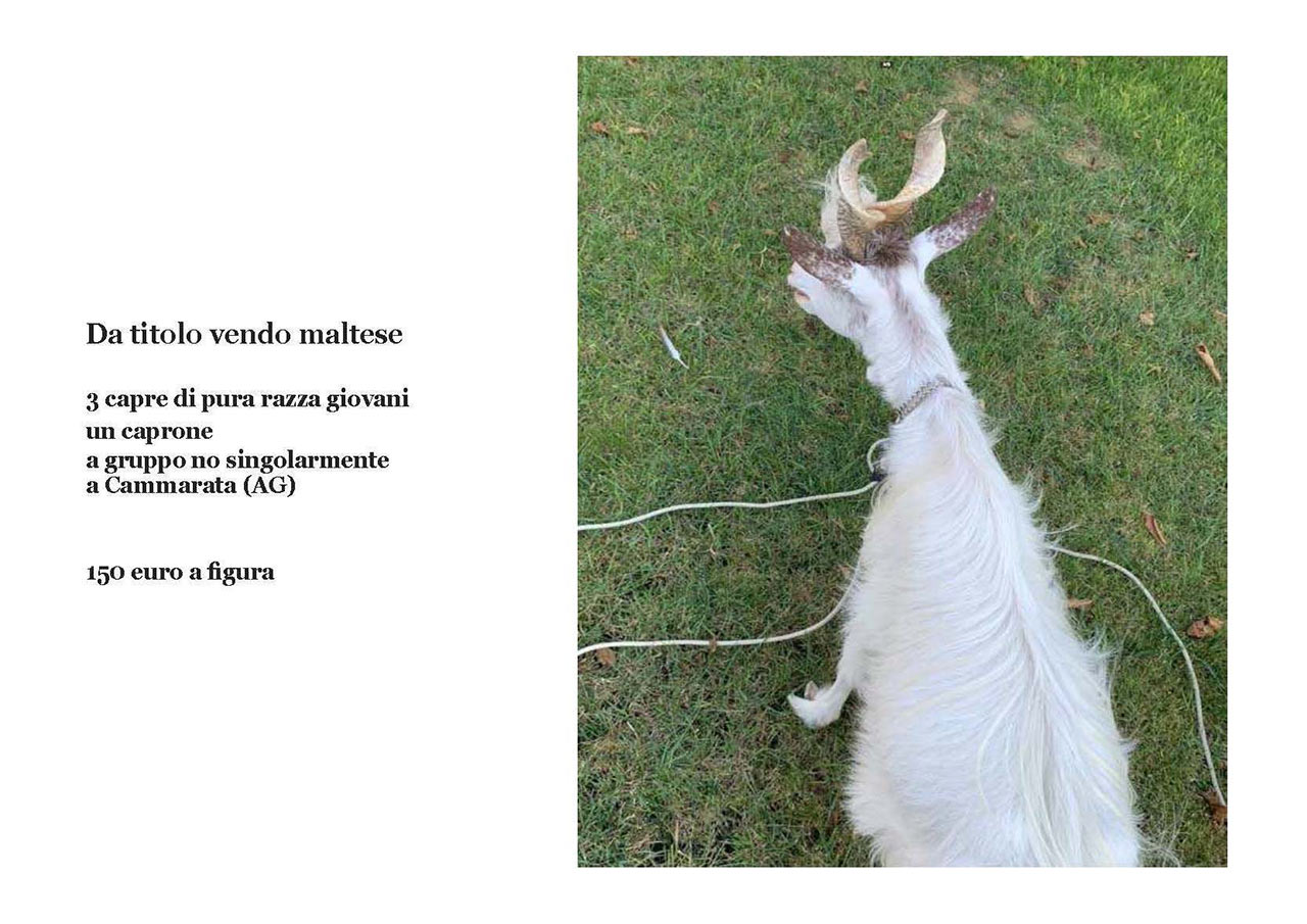 immagine per Giulia Sofi