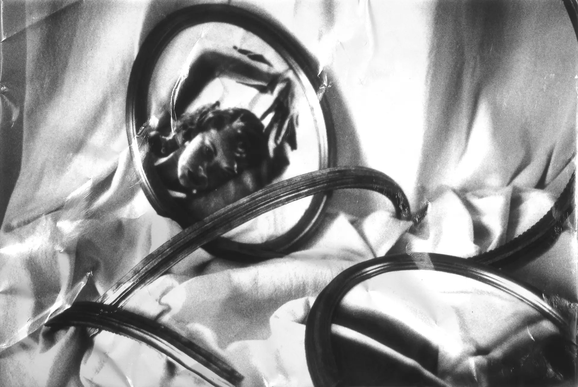 immagine per Naturae - Luigi Billi. Flashback (opere 1992-2015)