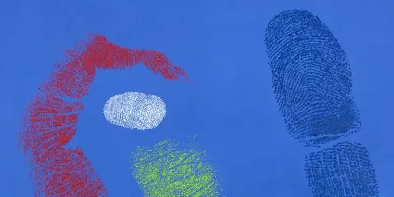 immagine per Penone Impronte di luce