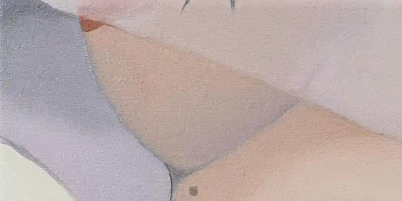 immagine per Adelisa Selimbašić z2o