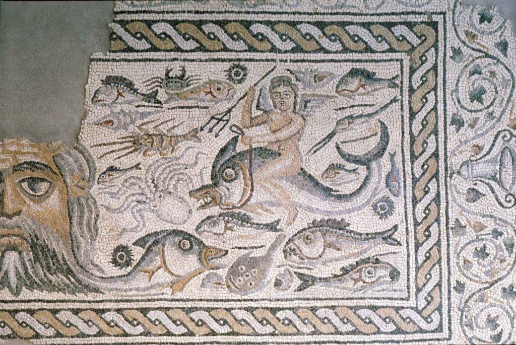 immagine per Foto 9: Museo Archeologico Nazionale e Zona Archeologica di Luni Credits: https://luni.cultura.gov.it/