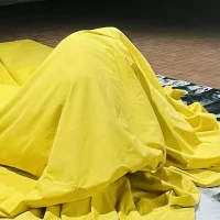 immagine per Per una performatività delle immagini nel mondo contemporaneo.