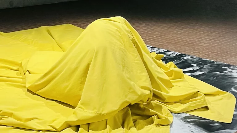 immagine per Per una performatività delle immagini nel mondo contemporaneo.