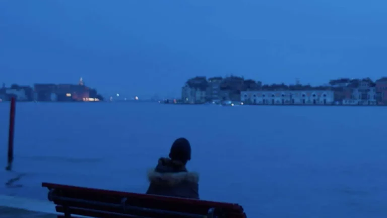immagine per Lo sguardo libero della Giudecca. Il padiglione Vaticano della sessantesima biennale d’arte di Venezia