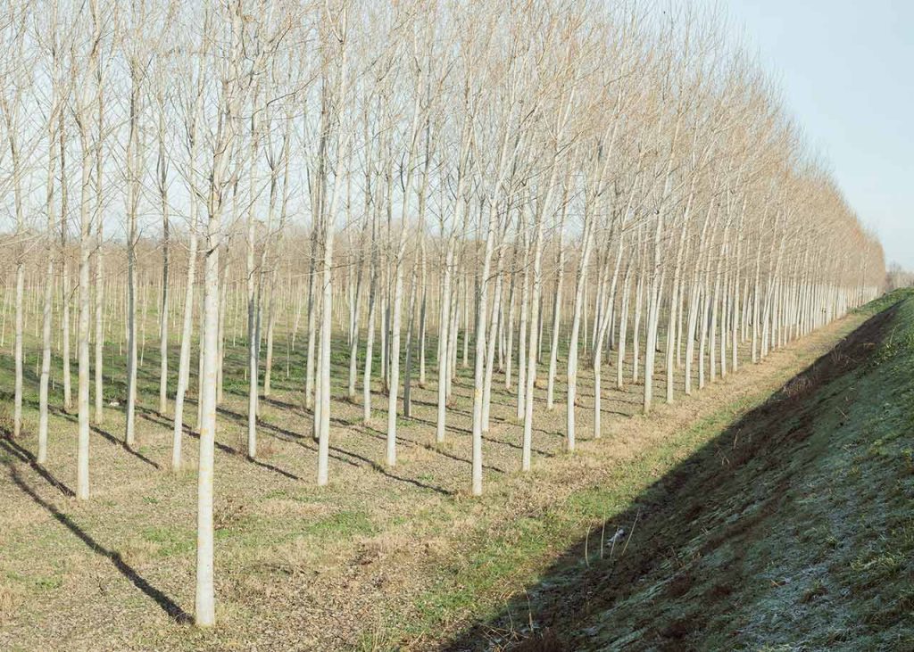 immagine per Foto/Territorio 5