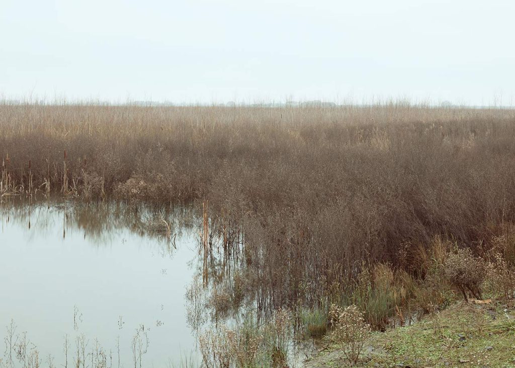 immagine per Foto/Territorio 8