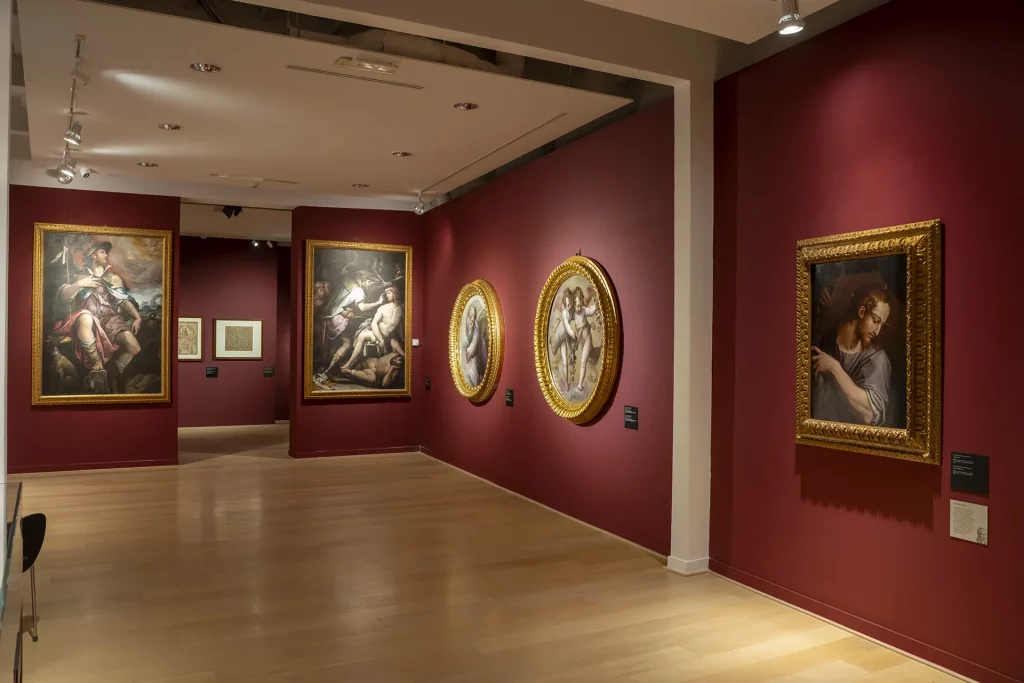 immagine per Giorgio Vasari. Il Teatro delle Virtù. Allestimento Galleria Comunale d’Arte Moderna e Contemporanea di Arezzo