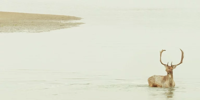 immagine per Foto/Territorio