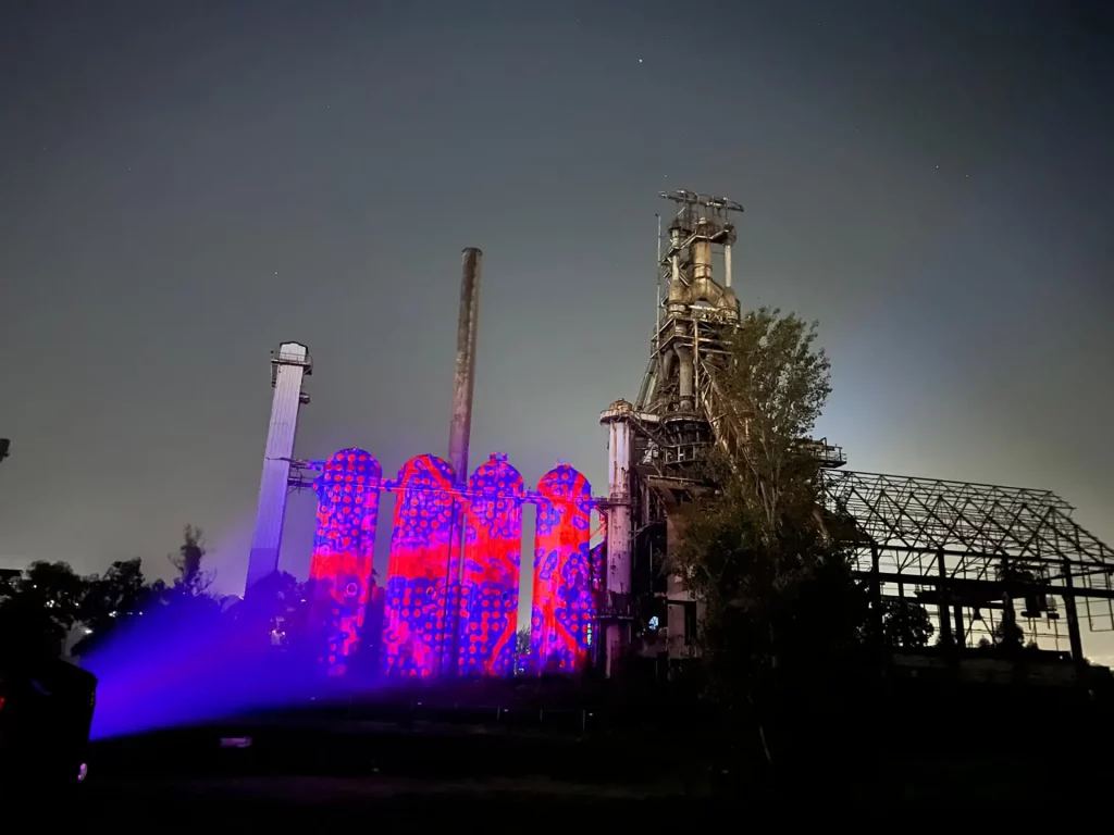immagine per Franz Cerami - Lighting Flowers Bagnoli - 2024
