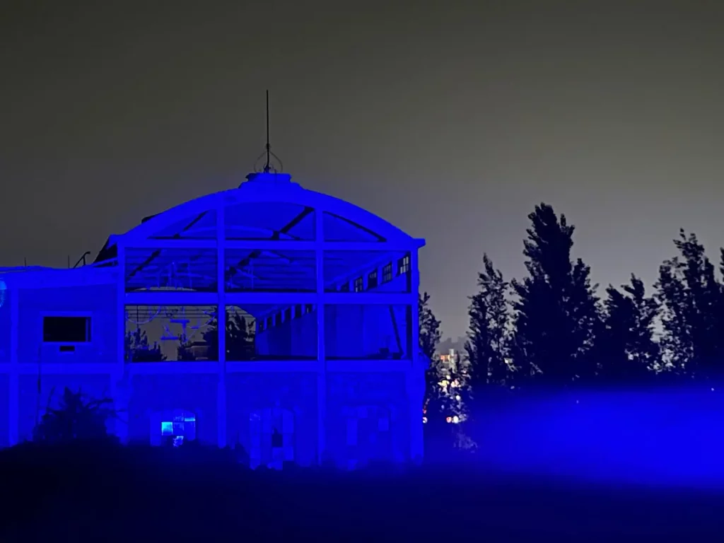 immagine per Franz Cerami - Lighting Flowers Bagnoli - 2024