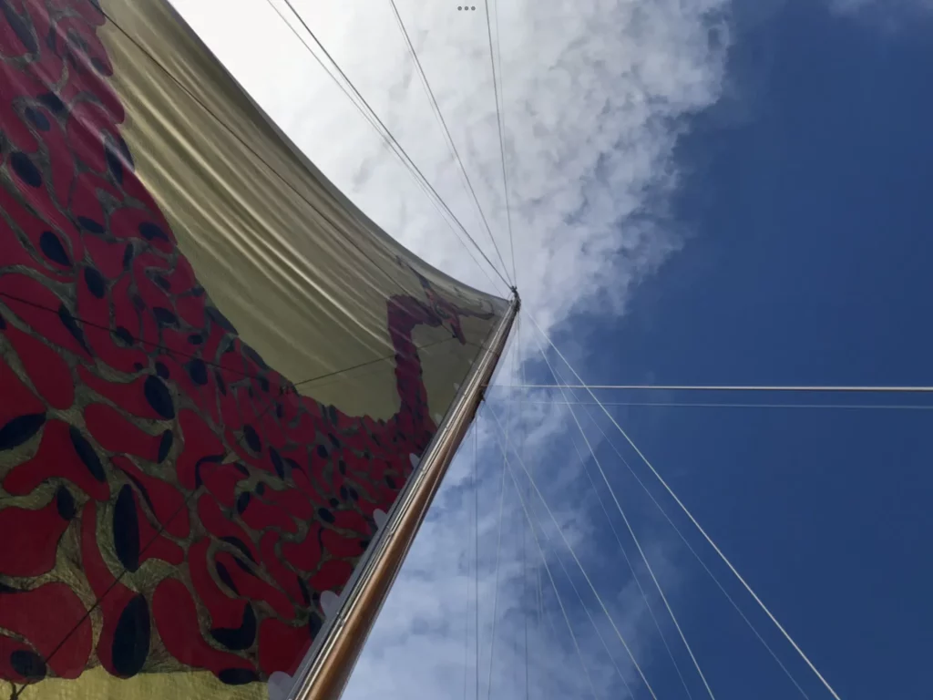immagine per Dettaglio vela AdE_VELA_Rapido - artista Luca Santiago Mora in collaborazione laboratori di arte visive l’Atelier dell’Errore - Imbarcazione Edipo Re. Photo by Donatella Pinocci