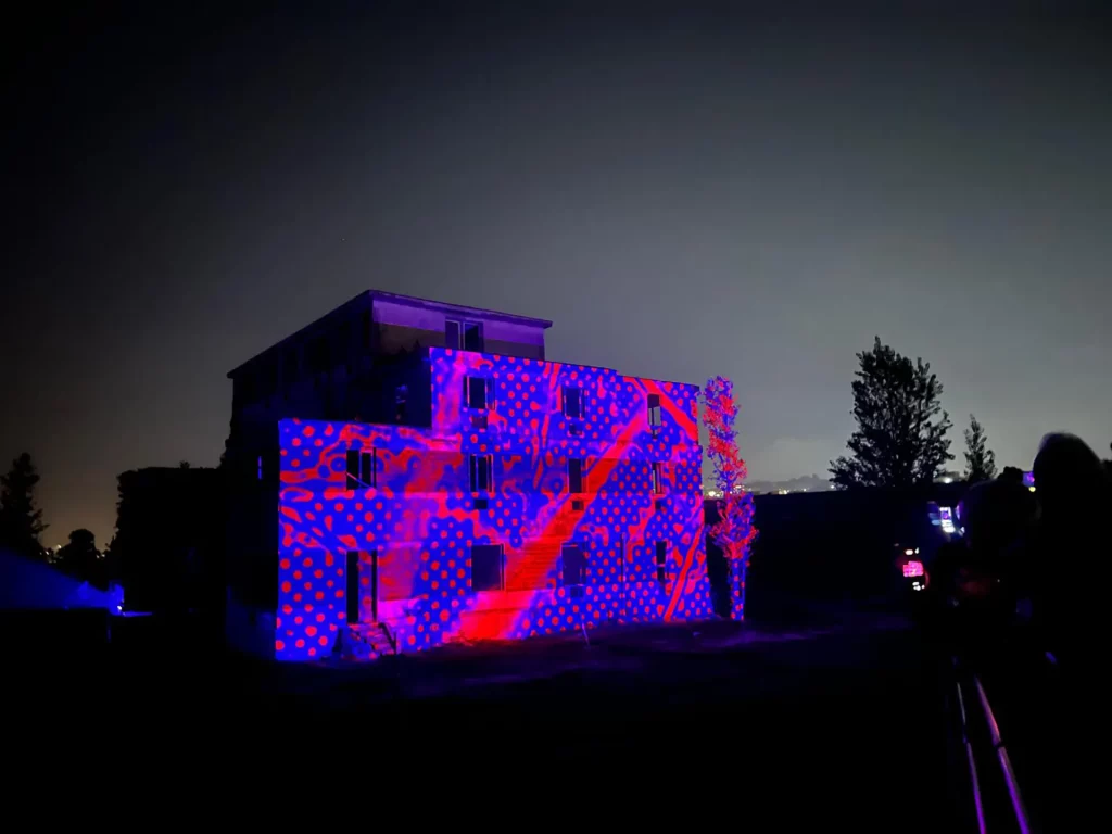 immagine per Franz Cerami - Lighting Flowers Bagnoli - 2024