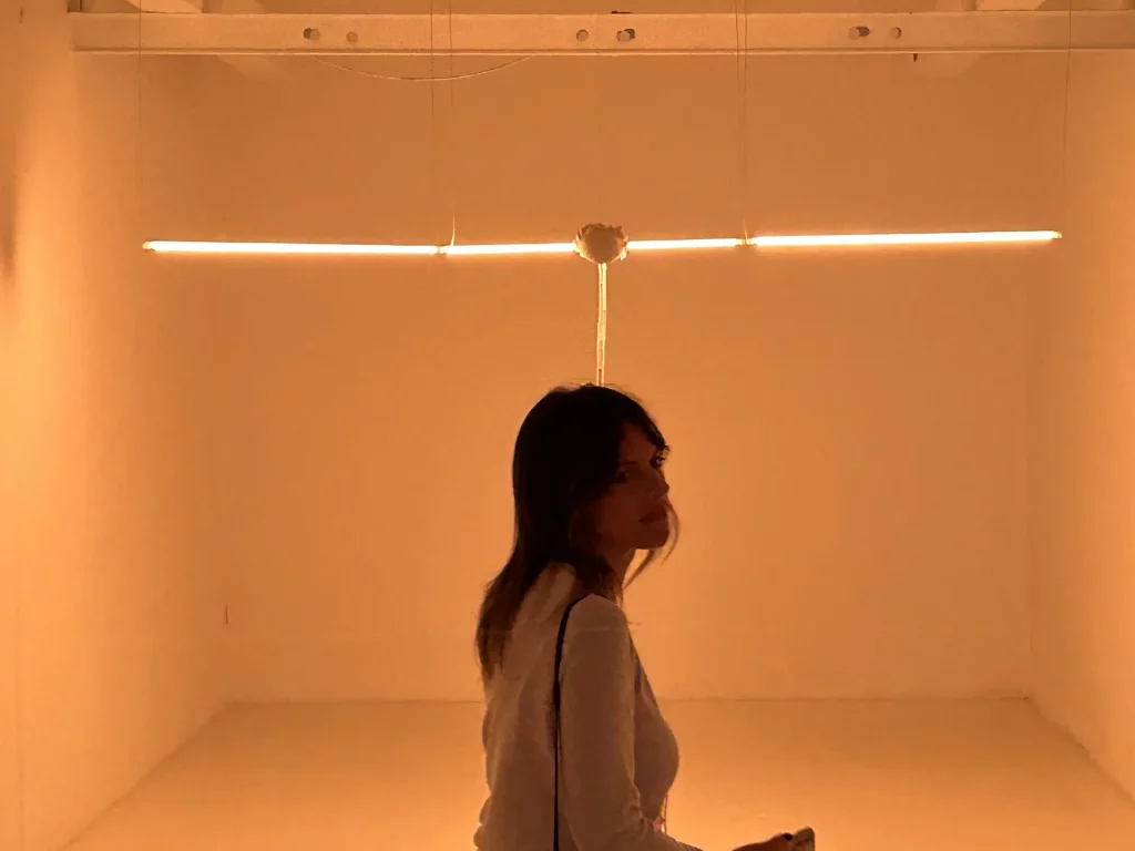 immagine per Yuxiang Wang - Anche il sole sorge - Pastificio Cerere - Ottobre Dicembre 2024