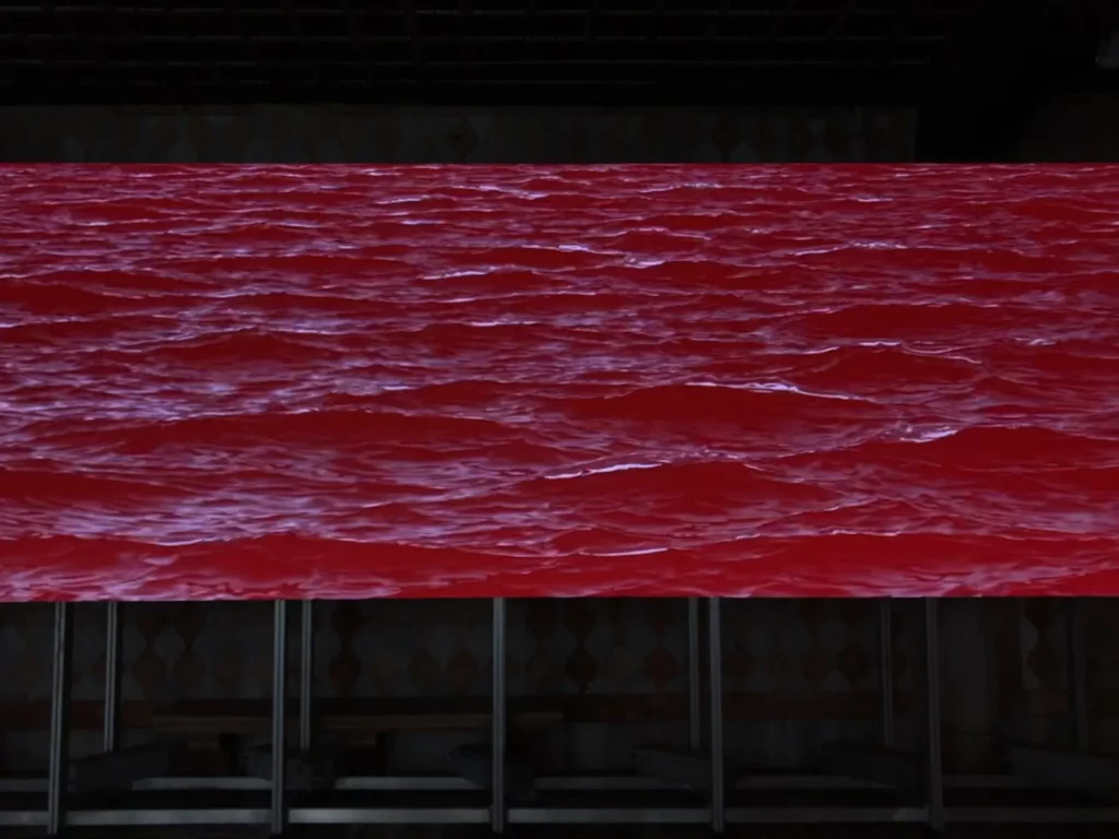 immagine per Installazione Naufragi - Approdi Ca’ D’Oro - Galleria Giorgio Franchetti Venezia - César Meneghetti Dettaglio dl Video. Photo by Donatella Pinocci