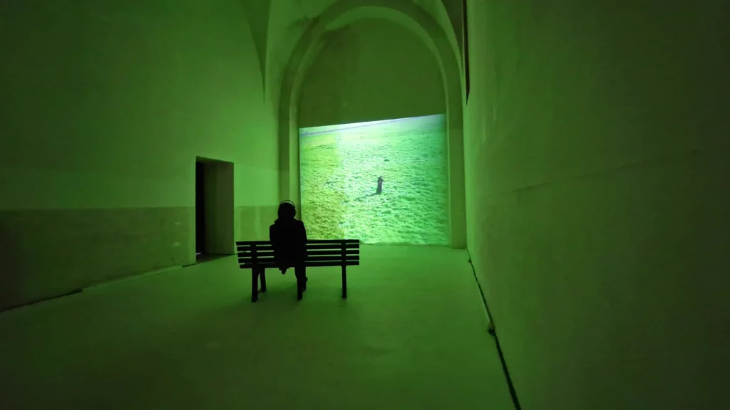 immagin eper Maja Bajevic - Green Green Grass of Home, 2002 installazione video 17 min © & courtesy Fondazione SoutHeritage e l’artista