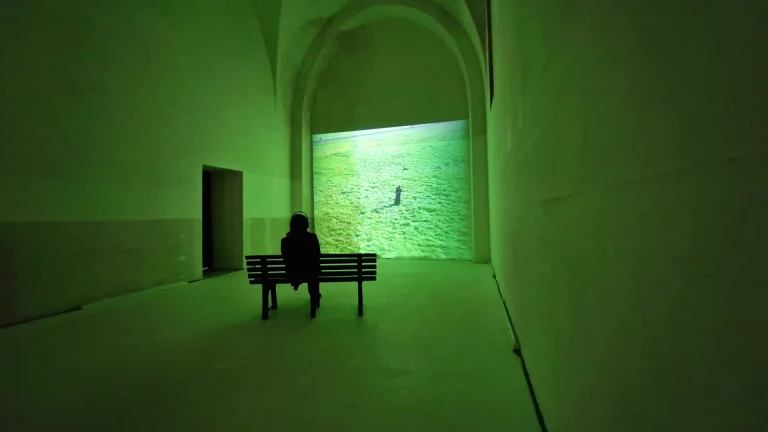 immagine per Una mostra senza Rothko, Fondazione SoutHeritage. Contributo