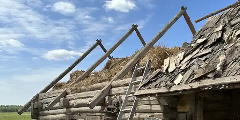 immagine per Augustas Serapinas