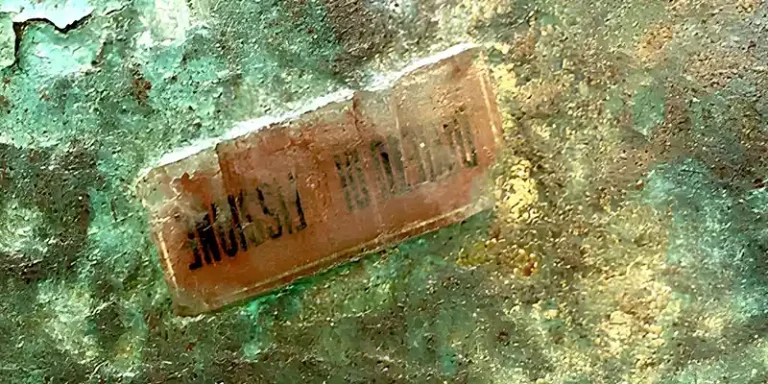 immagine per Sergio Mario Illuminato iosonovulnerabile