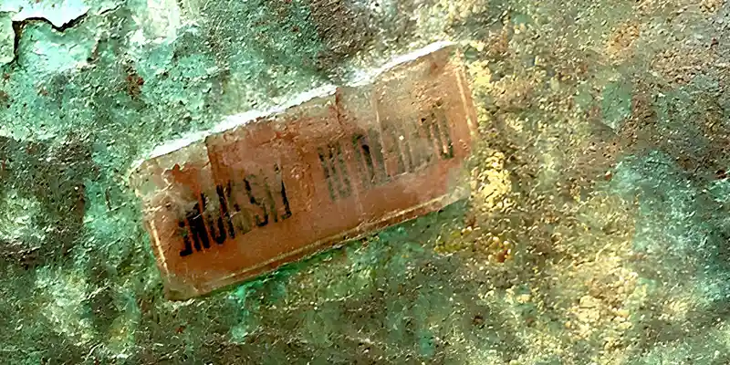 immagine per Sergio Mario Illuminato iosonovulnerabile