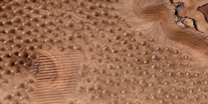 immagine per Primitive, Cyril de Commarque. A Palazzo Esposizioni