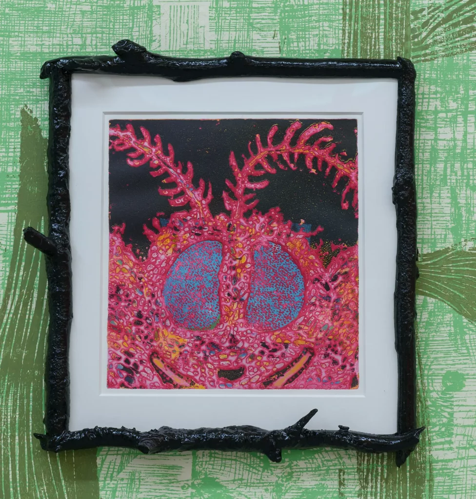 immagine per Moth Face viscosity monotype 30x 28cm 43x40cm(frame) 2024