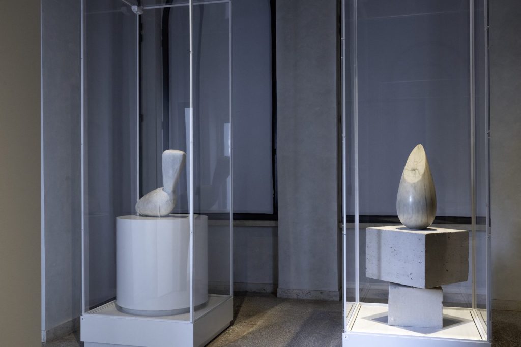 immagine per Constantin Brancusi - a sin. Leda, a destra L'Oiselet. Ph. Simona Murrone