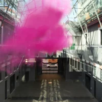 immagine per RETROFUTURO. Appunti per una collezione Museo per l’Immaginazione Preventiva, MACRO 2021 – 2024 Parasite 2.0, Fuzzy Architecture #3, 2021. Performance, installazione site-specific, pigmento biodegradabile, colla spray. Courtesy gli artisti.  Sulle pareti: Giovanna Silva, Catabasi, 2020. Stampa su pvc. Courtesy l’artista. MACRO 2021.  Ph. Stefano Colombo, Parasite 2.0.