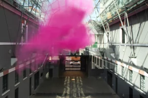 immagine per RETROFUTURO. Appunti per una collezione Museo per l’Immaginazione Preventiva, MACRO 2021 – 2024 Parasite 2.0, Fuzzy Architecture #3, 2021. Performance, installazione site-specific, pigmento biodegradabile, colla spray. Courtesy gli artisti.  Sulle pareti: Giovanna Silva, Catabasi, 2020. Stampa su pvc. Courtesy l’artista. MACRO 2021.  Ph. Stefano Colombo, Parasite 2.0.