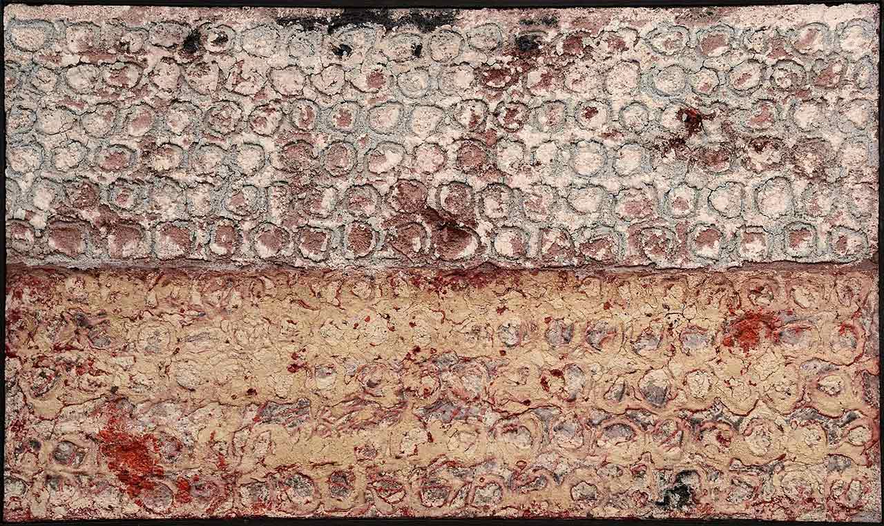 immagine per Piattella, Riflesso di un muro