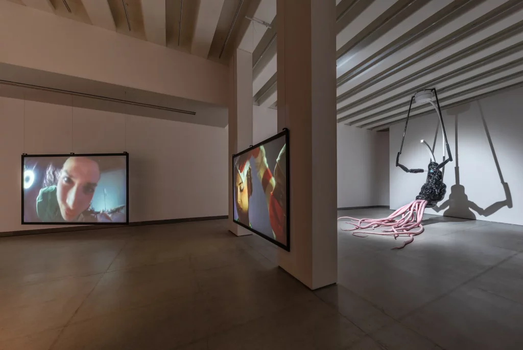 immagine per Agnes Questionmark Nexaris Suite (2024) vista della mostra Courtesy Associazione Culturale Dello Scompiglio Ph Leonardo Morfini