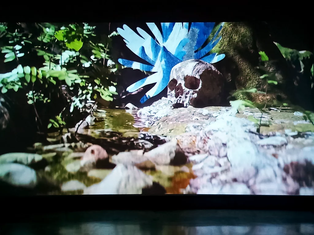 immagine per Pietro Ruffo, The Planetary Garden, frame da video animazione, 2024 -ph. Barbara Martusciello