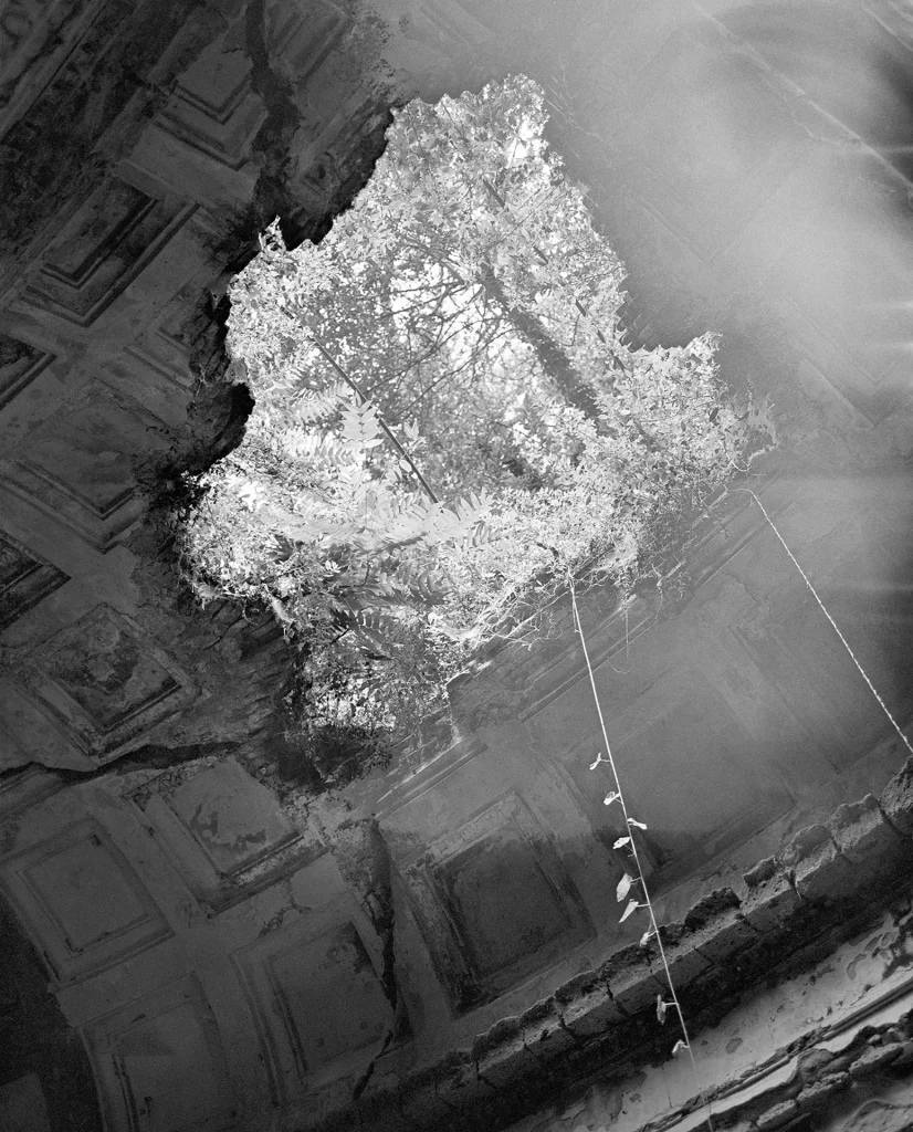 immagine per Benedetta Casagrande, All things laid dormant, Foto Gianluca Di Ioia © Triennale Milano