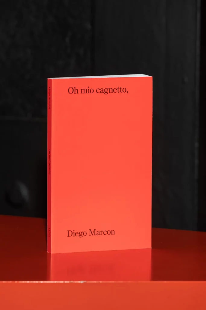 immagine per RETROFUTURO. Appunti per una collezione
Museo per l’Immaginazione Preventiva, MACRO 2021 – 2024
Diego Marcon, Oh mio cagnetto, 2020. Libro, LENZ Press, Milano. Courtesy l’artista, ERMES ERMES, Vienna.
Sulle pareti: Giovanna Silva, Catabasi, 2020. Stampa su pvc. Courtesy l’artista. MACRO 2021.
Photo credit: Agnese Bedini e Melania Dalle Grave di DSL Studio.