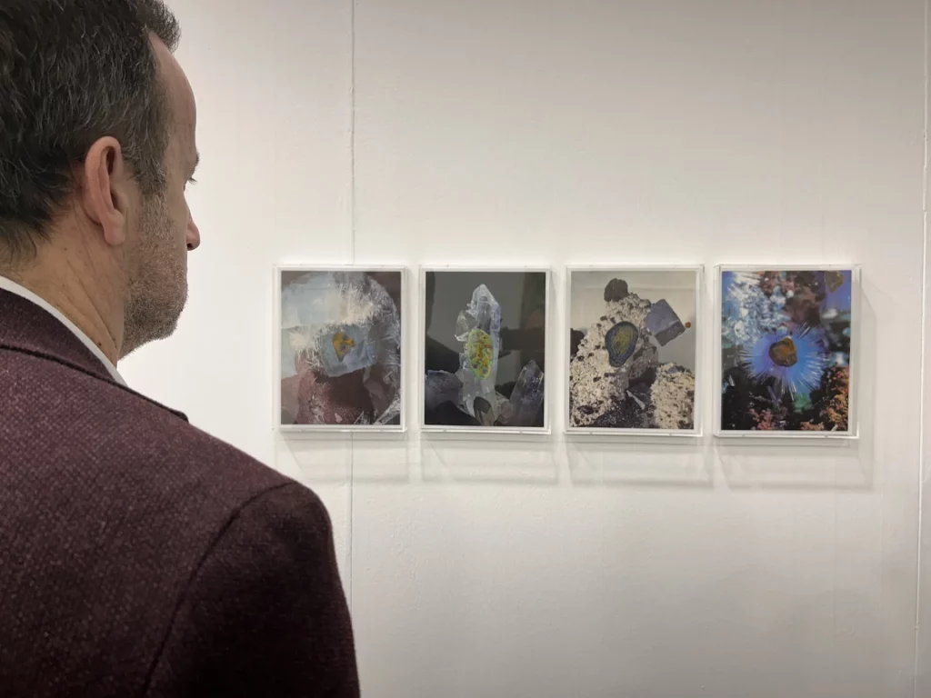 immagine per ArteFiera e Brave Art - Bologna - 6, 7 e 8 Gennaio 2025