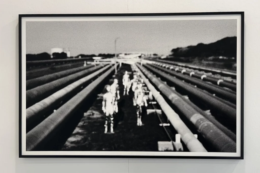 immagine per ArteFiera e Brave Art - Bologna - 6, 7 e 8 Gennaio 2025