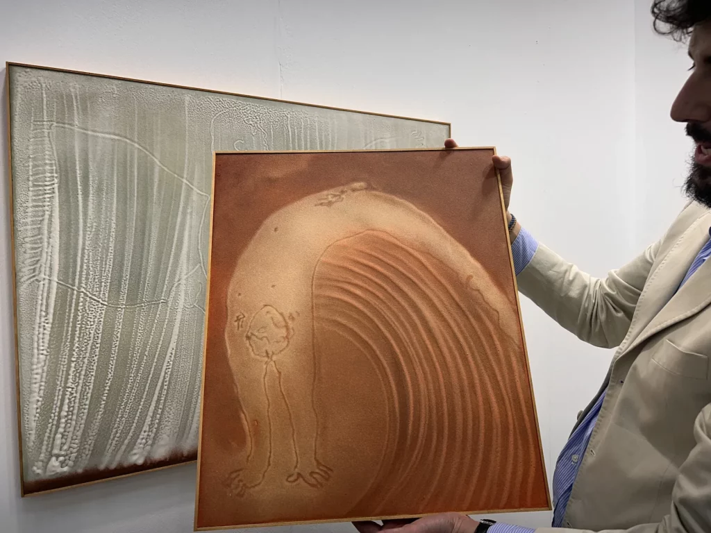immagine per ArteFiera e Brave Art - Bologna - 6, 7 e 8 Gennaio 2025