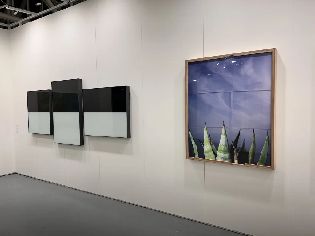 immagine per ArteFiera e Brave Art - Bologna - 6, 7 e 8 Gennaio 2025