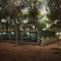 immagine per Aula Errante per Cooperativa Terra Nostra, Errante Architetture (Sarah Beccio, Paolo Borghino) Torino, BOSCO COLTO Campus 2022