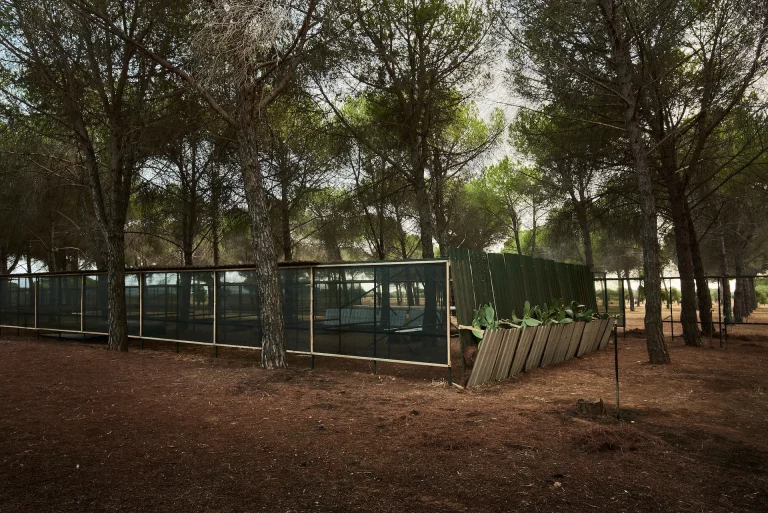 immagine per Aula Errante per Cooperativa Terra Nostra, Errante Architetture (Sarah Beccio, Paolo Borghino) Torino, BOSCO COLTO Campus 2022