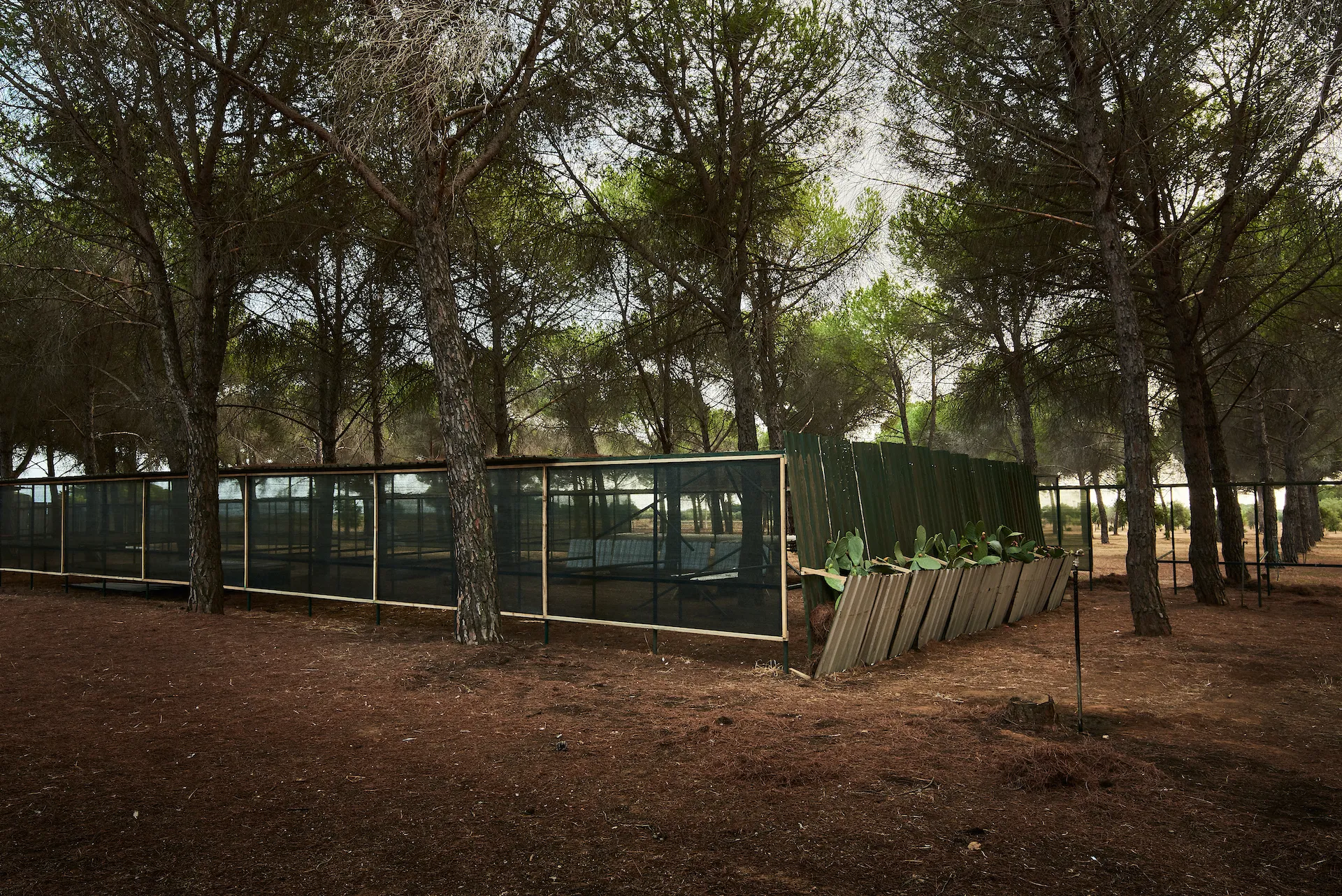 immagine per Aula Errante per Cooperativa Terra Nostra, Errante Architetture (Sarah Beccio, Paolo Borghino) Torino, progetto BOSCO COLTO Campus 2022
