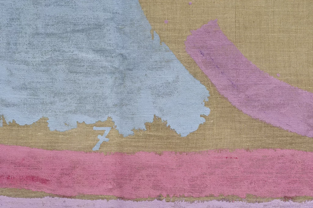 immagine per Courtesy Fondazione Giorgio Griffa _ ph Federico Rizzo_Giorgio Griffa, Sette colori, 2000, acrylic on canvas, 177x329 cm_DETTAGLIO2