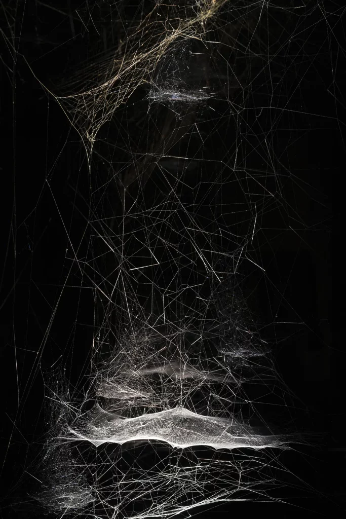 immagine per Tomás Saraceno Life(s) of Webs, arachnophobias, arachnophilias, and other stories (crediti Amedeo Benestante)