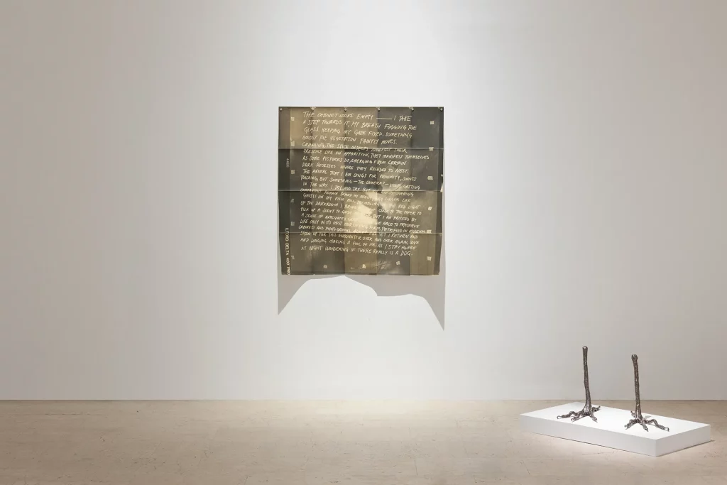 immagine per Benedetta Casagrande, All things laid dormant, Foto Gianluca Di Ioia © Triennale Milano