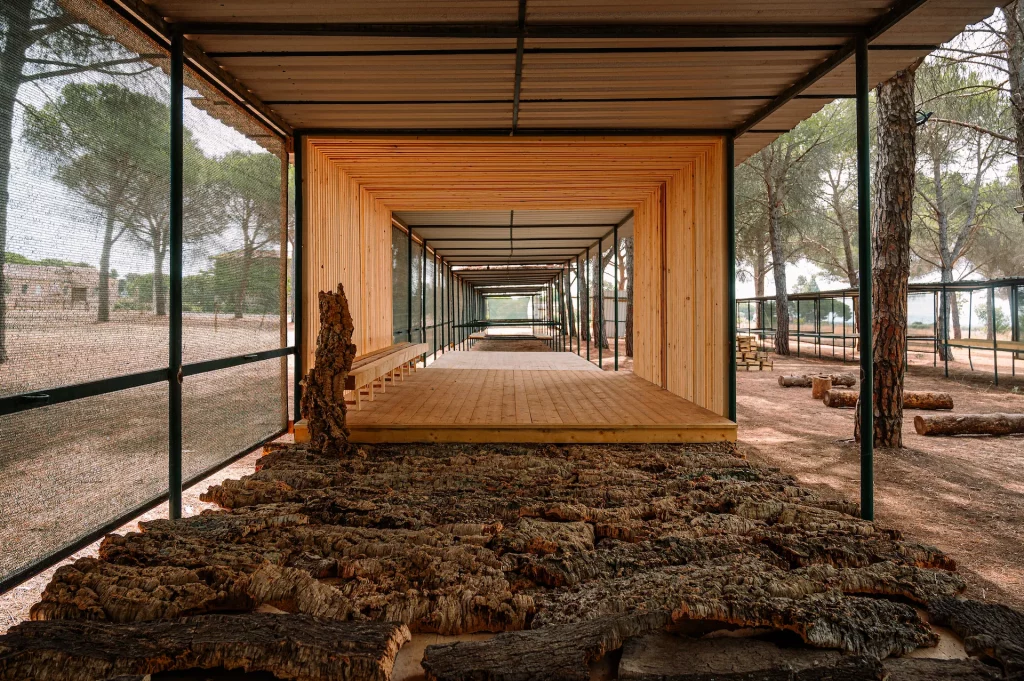 immagine per Incroci e sinestesie. Padiglione del sughero nell'Aula Errante per Cooperativa Terra Nostra, NOWA Caltagirone +Analogique Catania, BOSCO COLTO Campus 2023