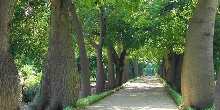 immagine per Oltre il Giardino seconda edizione