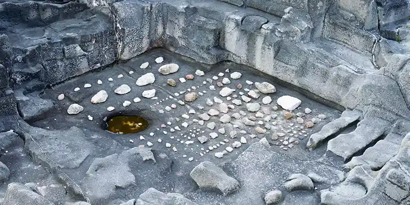 immagine per Niccolò Morgan Gandolfi