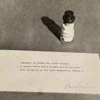 immagine per Sergio Lombardo, Progetto di Morte per Avvelenamento nella mostra Facile ironia al MAMbo