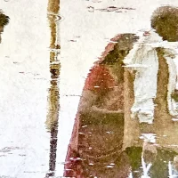 immagine per Vibrazioni tra Italia e India